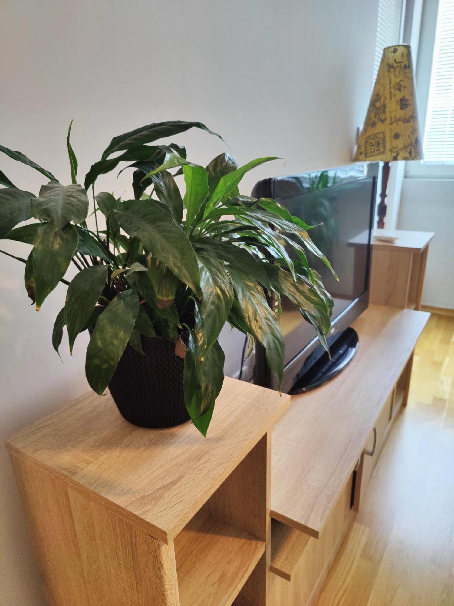 Apartman Aleksic Nis Ngoại thất bức ảnh